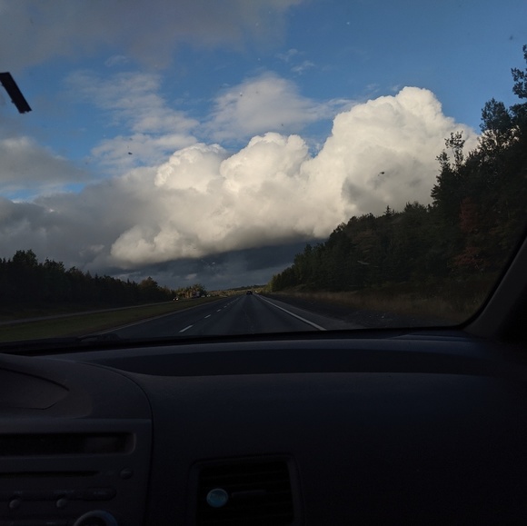 Meet your Posher, Kelly - Picture 1 of 1